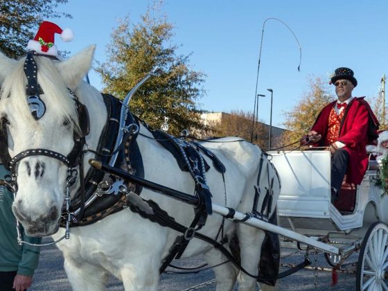 2024 Mauldin Chamber Mauldin Christmas Parade