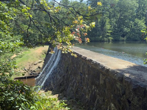 Paris Mountain State Park in Greenville County.