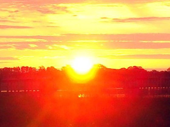A blazing sunrise in summer.