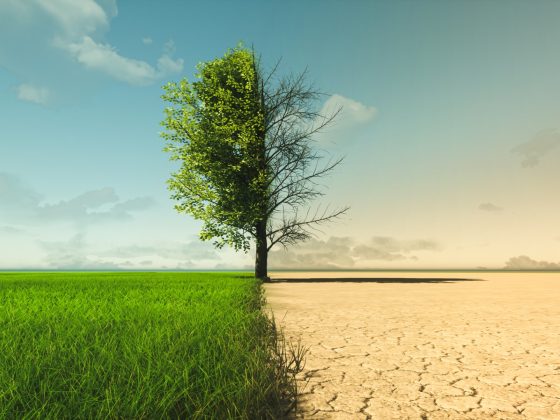 climate change drought to green