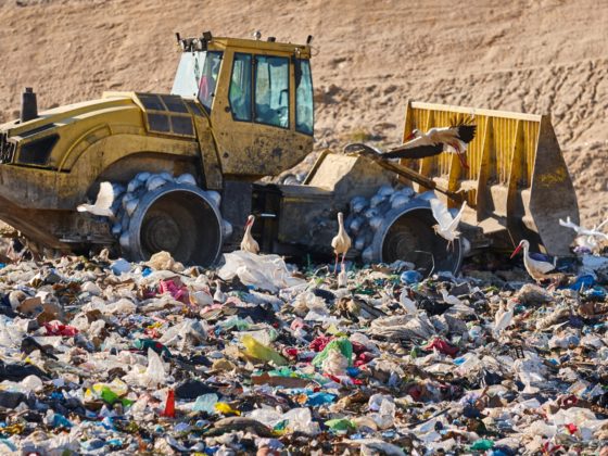 heavy machinery shreds garbage in a landfill