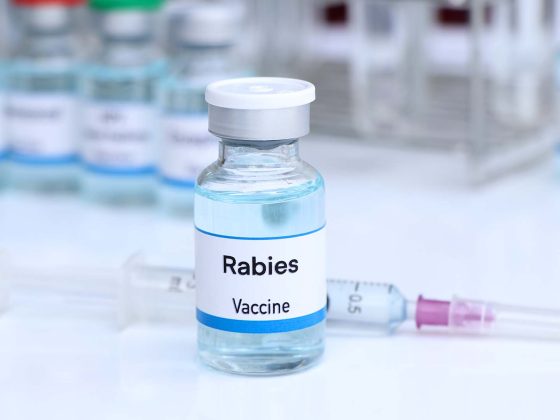 Rabies vaccine
