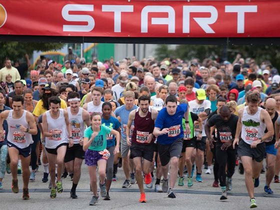 Spinx Run Fest