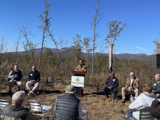 Saluda Bluffs announcement